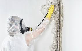 Best Forensic Mold Investigation  in Wrens, GA